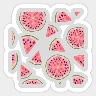 Watermelon Tropical Summer Sticker